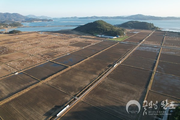 현재 태양광 발전사업이 추진되고 있는 고금면 항동마을 간척지 모습(2023년 11월 13일)